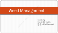 weed management (3).pdf